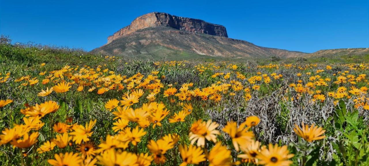Mountain View Guesthouse Vanrhynsdorp Eksteriør billede